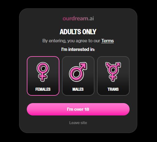 Bramka „Adults only